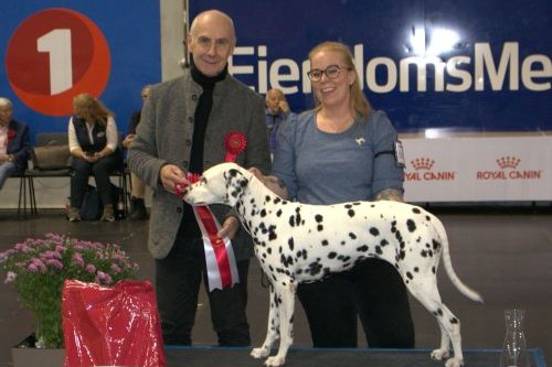 BESTE VETERAB DAG 1.jpg